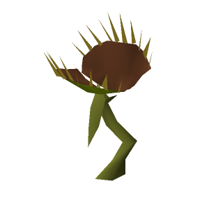 Fly trap
