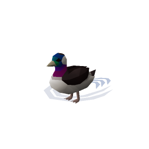 Current duck