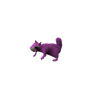 Racoon buddy