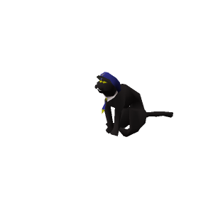 Sailing cat