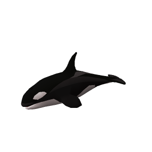 Orca