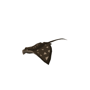 Eagle ray