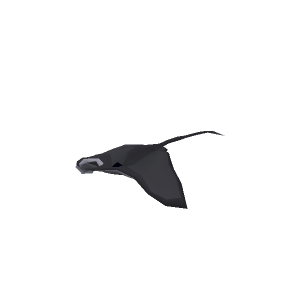 Manta ray