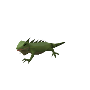 Iguana
