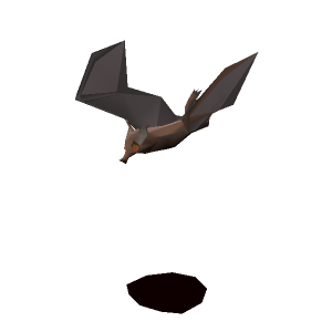 Fruit bat