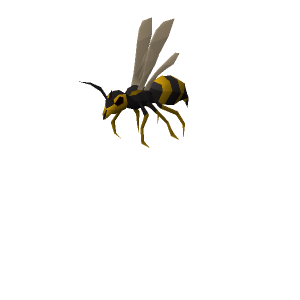 Giant wasp