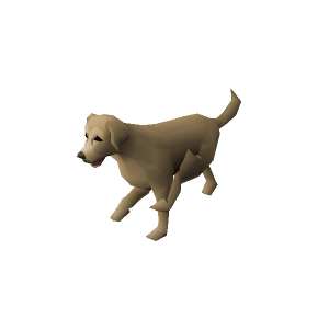 Labrador