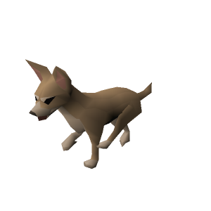 Chihuahua