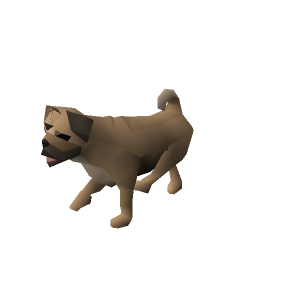 Pug