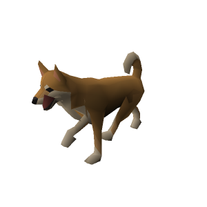 Shiba