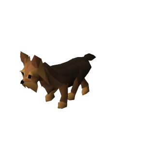 Yorkie