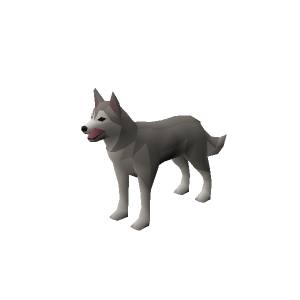 Zoey