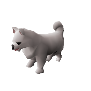 Samoyed puppy