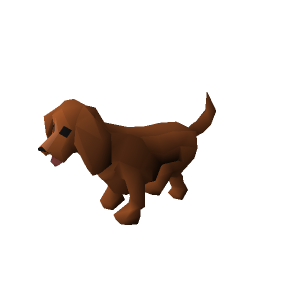 Spaniel puppy