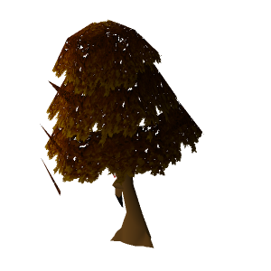 Maple tree