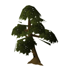 Yew