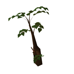 Jungle Tree