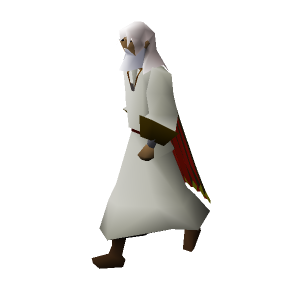 Ali the Camel Man