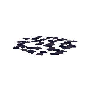 Scarabs