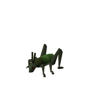 Locust