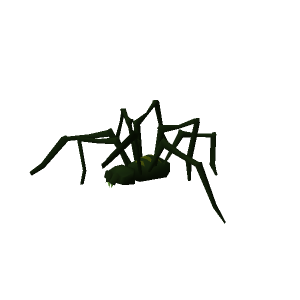 Giant crypt spider