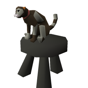 Dromund's cat