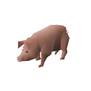 Pig