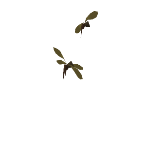 Mosquito swarm