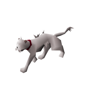 Wily cat