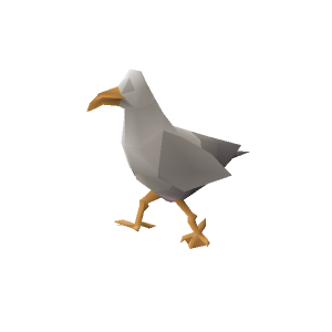 Seagull