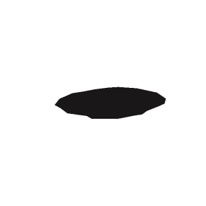Shadow