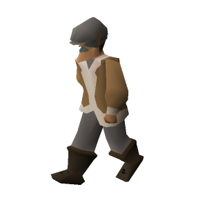 Gnome Coach