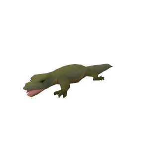 Lizard