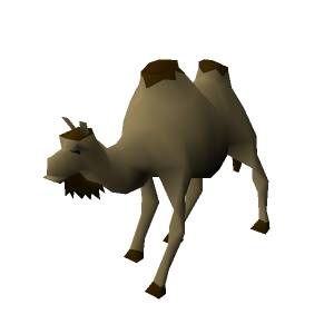 Al the Camel