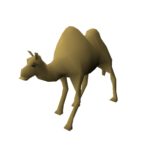 Elly the Camel