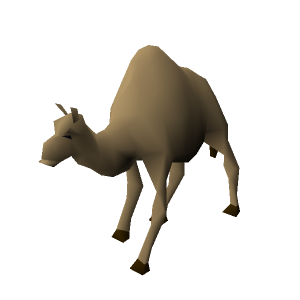 Ollie the Camel