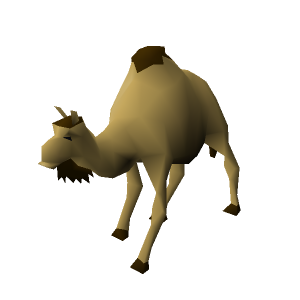 Cam the Camel
