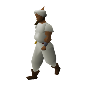 Ali the Guard