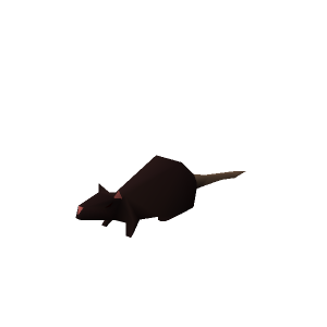 King rat