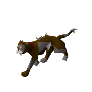 Pusskins