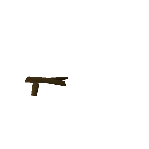 Twig
