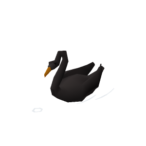 Black swan