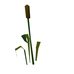 Bullrush