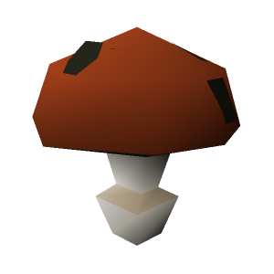 Fungi