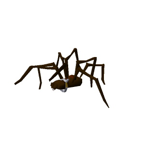 Huge Spider