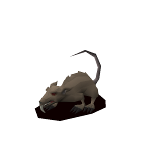 Zombie rat