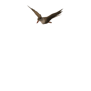Skylark