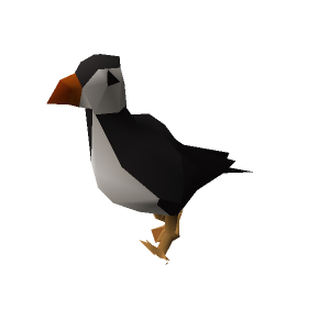 Puffin