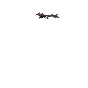 Bat