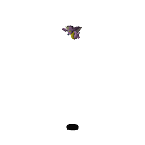 Baby impling
